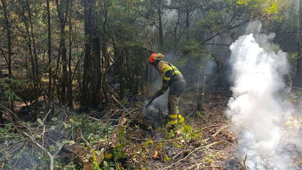 Comienzan los realojos tras el incendio de Riglos: 339 vecinos pueden volver a casa mientras se mantiene la vigilancia