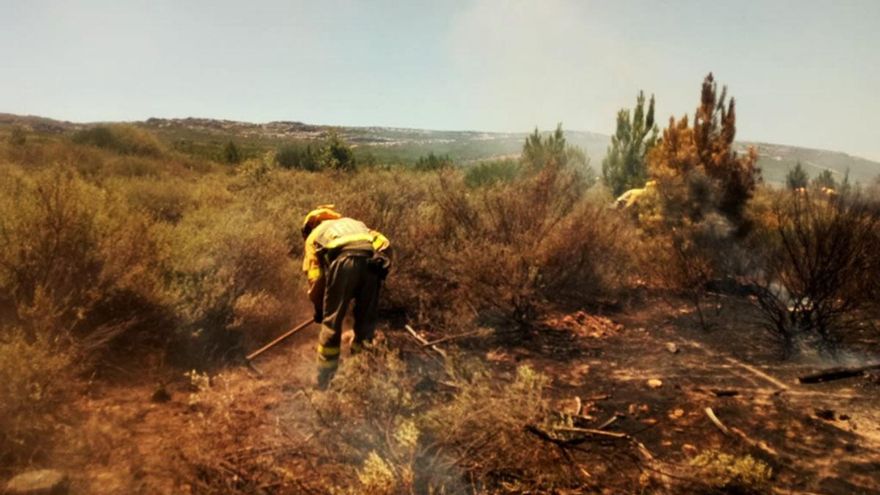 La BRIF de Tabuyo apagando rescoldos de un incendio forestal. // @AT_BRIF