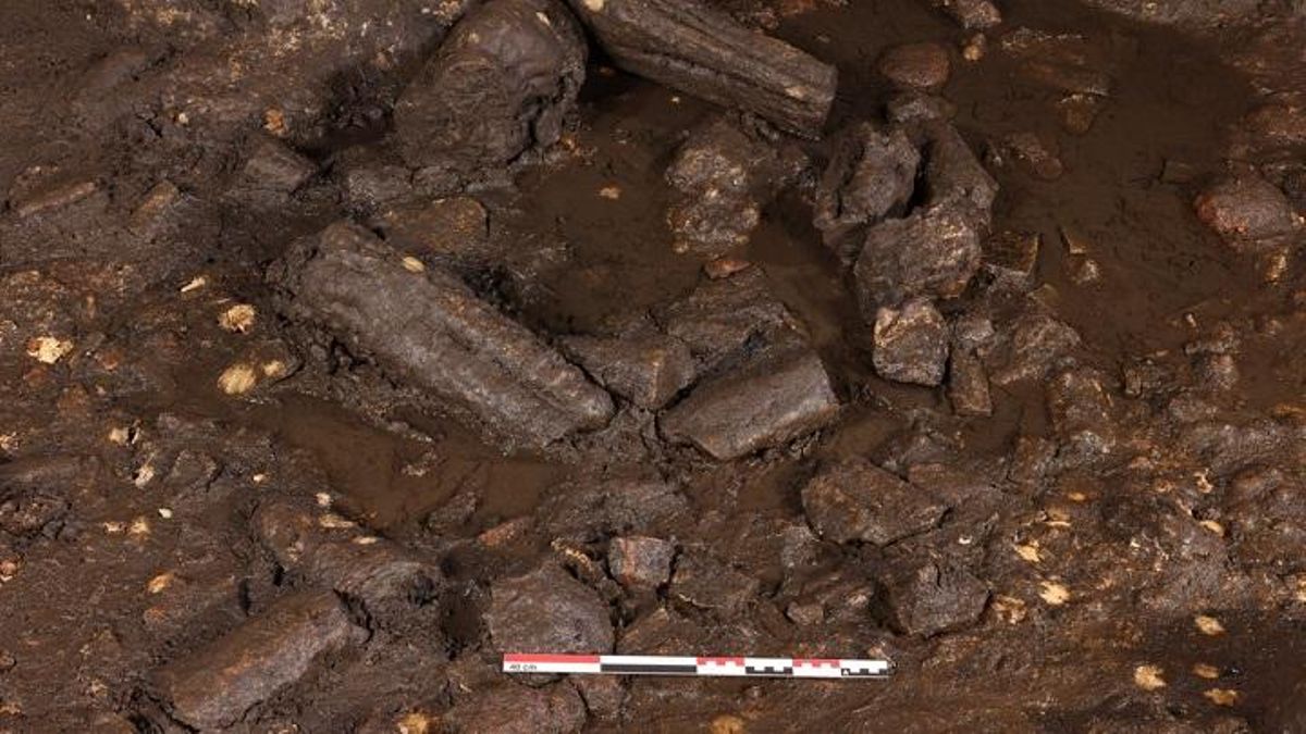 Estructura en forma de anillo realizada con formaciones estalagmíticas halladas en Cova Dones