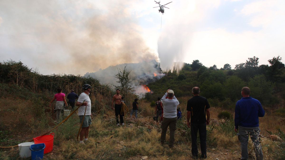 Los incendios forestales del verano 2025 no causaron un cambio notorio en los votantes.