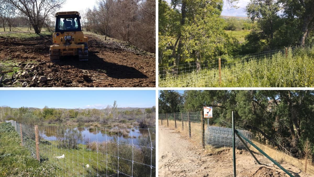 La zona que los vecinos denuncian que se pretende deforestar.