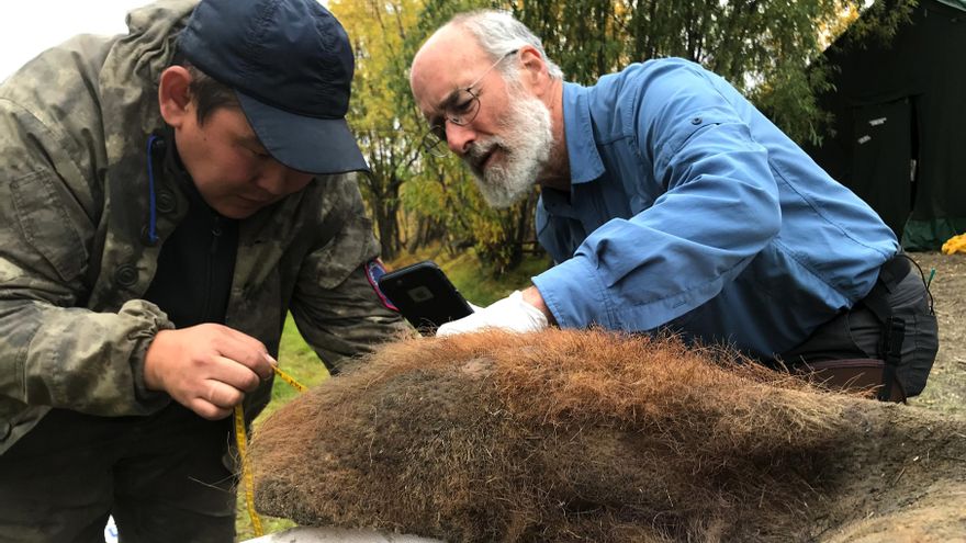 Más cerca de 'resucitar' un mamut: recuperan por primera vez cromosomas en un fósil de 52.000 años
