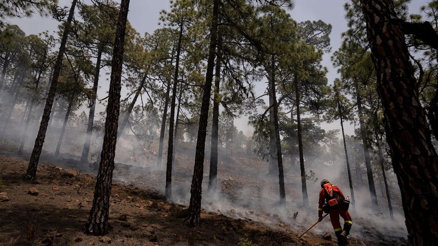 Miembros de la UME, trabajando en la extinción del fuego en Arico, Tenerife, que ya ha entrado en el Parque Nacional del Teide