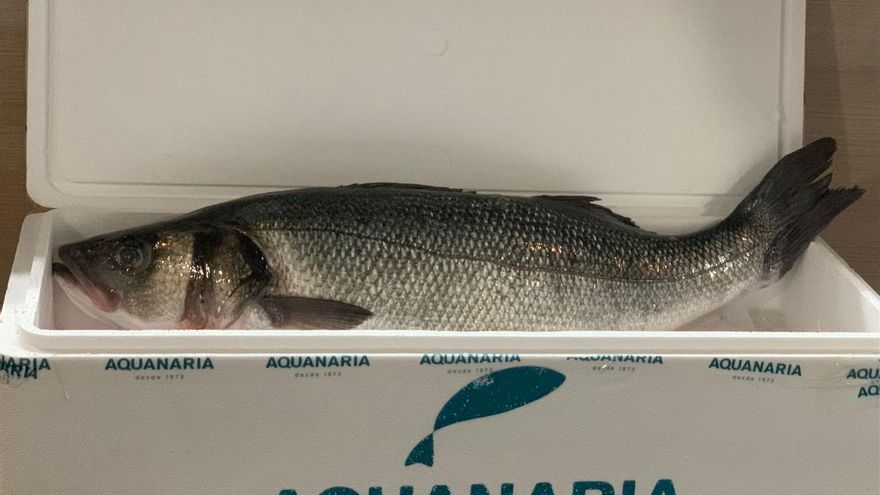 Aquanaria, la lubina con sabor a Canarias que se exporta a 22 países del mundo