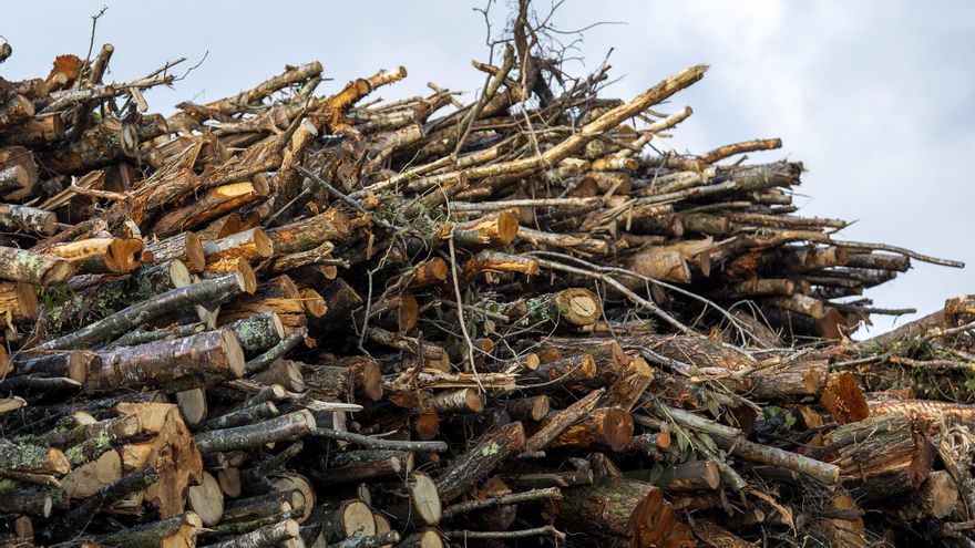 Condenados a un año de cárcel dos empresarios de Lugo por el accidente de un empleado herido grave con una cuchilla