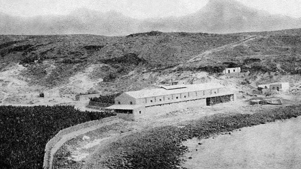 Esta es la imagen más antigua que se conserva del Puertito de Adeje. Data de 1928. Se ve una finca de plataneras y la nave para almacenar las frutas antes de embarcarlas.