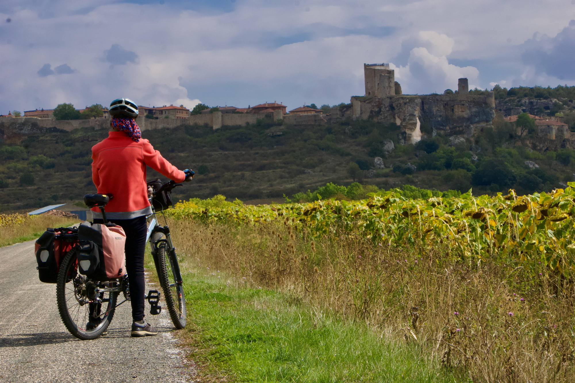 Muralla y castillo de Calatañazor