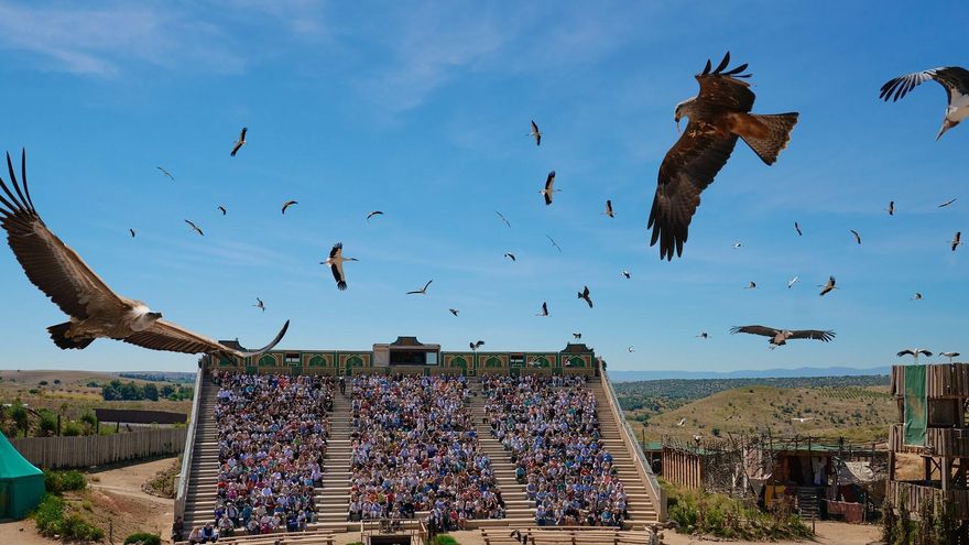 La Consejería de Agricultura sobre el cementerio de animales en Puy du Fou Toledo: "No ha llegado ninguna denuncia"