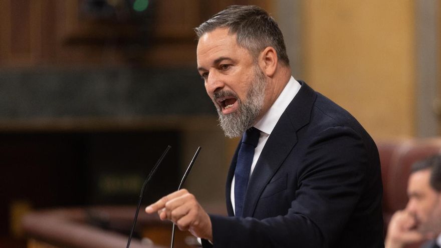 Santiago Abascal durante una intervención en el Congreso.