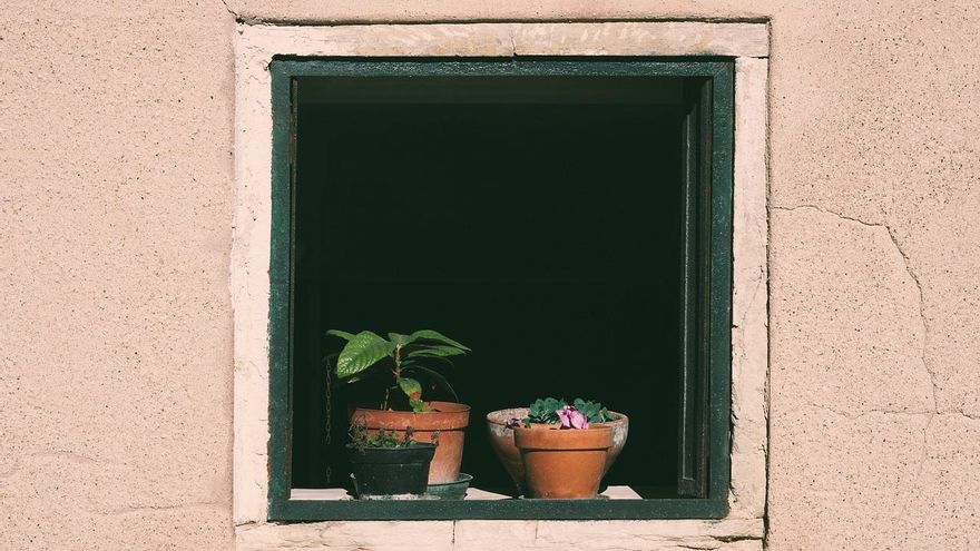 Cómo fabricar un hidrogel para que tus plantas no sufran si te vas de vacaciones