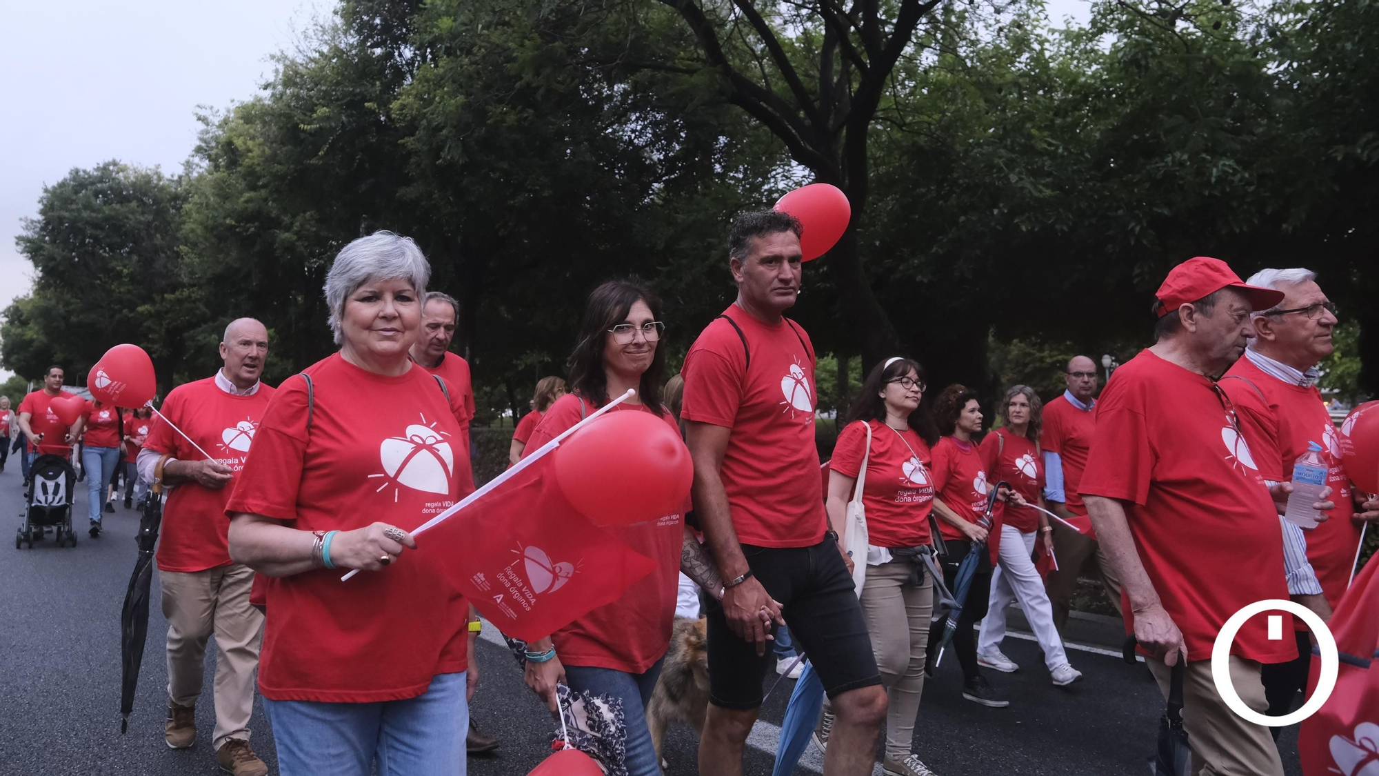 Marcha por la Donación de órganos.