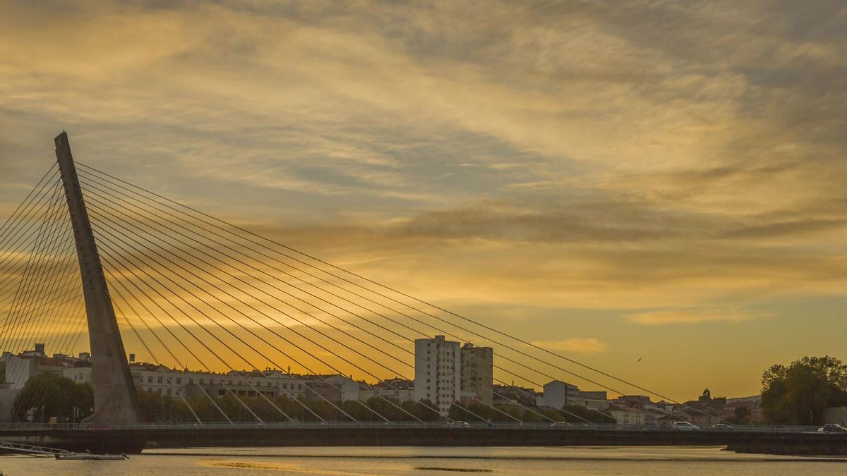 Los cables se distribuyen en haces que crean una geometría compleja y hermosa sobre la calzada del puente
