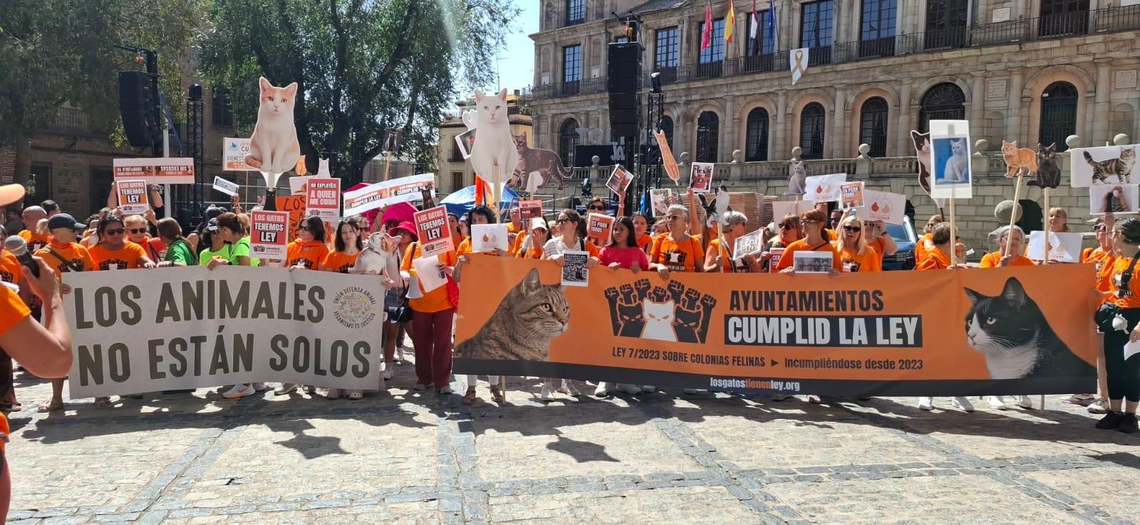 Algunos participantes en la concentración de Toledo por las colonias felinas