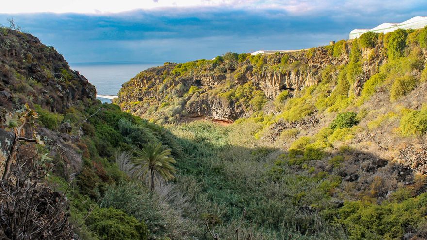 El descubrimiento de cinco cuevas con restos humanos termoalterados sugiere una práctica ritual con fuego de los guanches