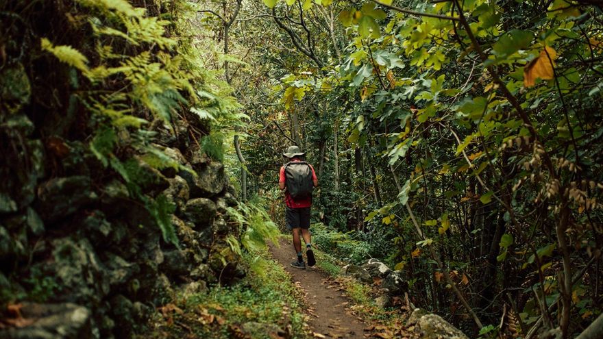 Tres planes para descubrir la naturaleza y la cultura de Gran Canaria