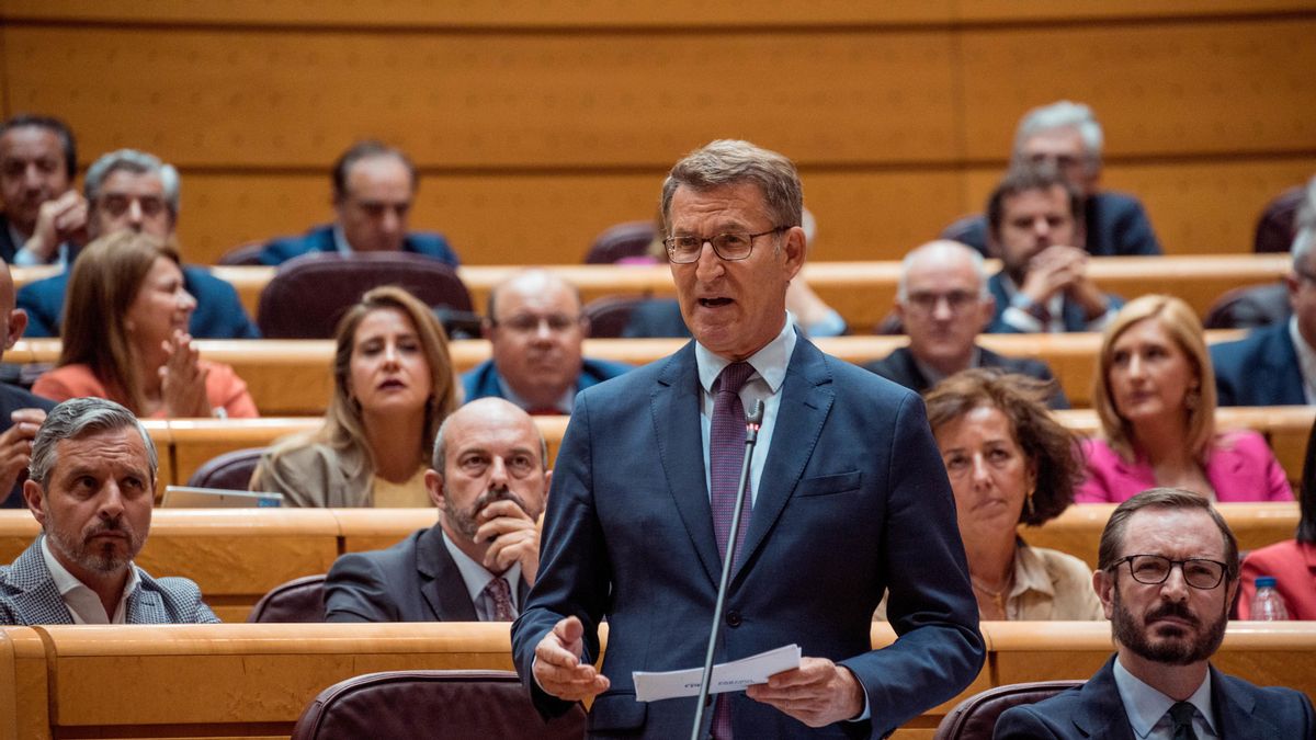 El presidente del Partido Popular, Alberto Núñez Feijóo, interviene durante una sesión plenaria en el Senado, a 16 de mayo de 2023, en Madrid (España). El jefe del Ejecutivo y el líder de PP protagonizan un nuevo debate parlamentario a escasos doce días d