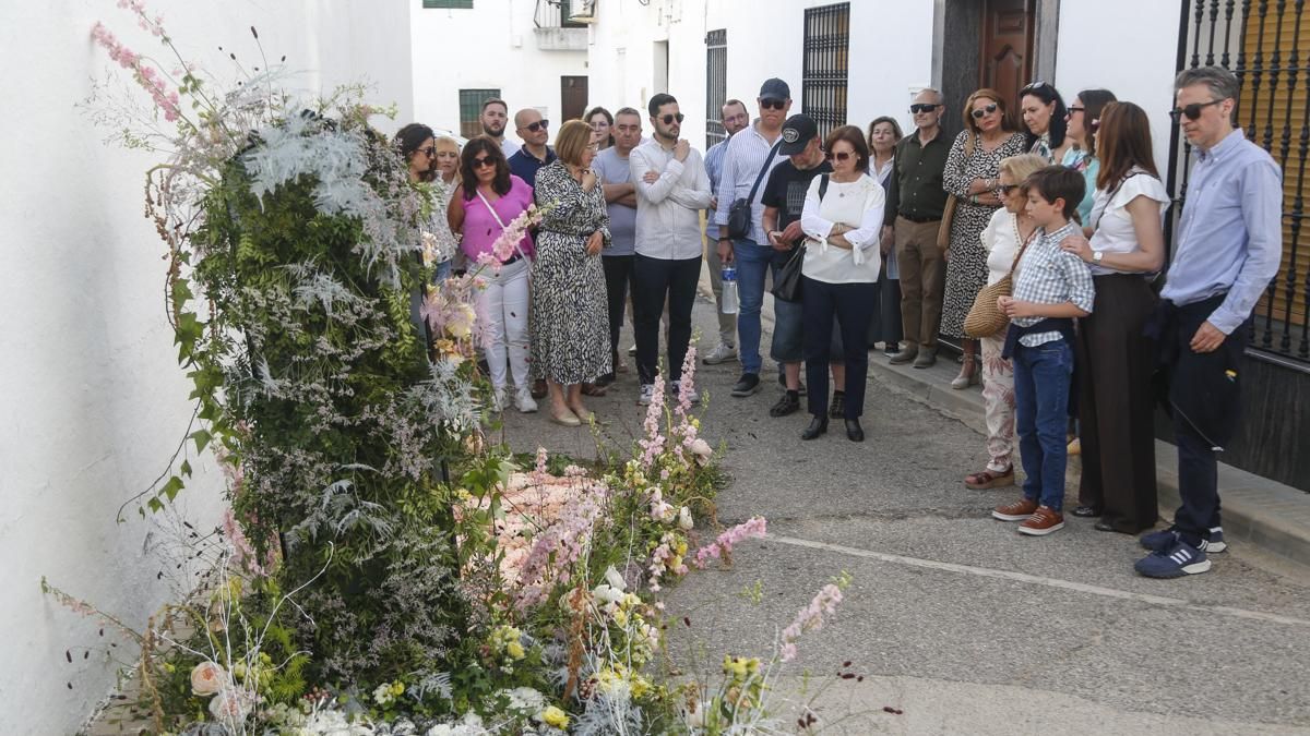 Calles en Flor 2026