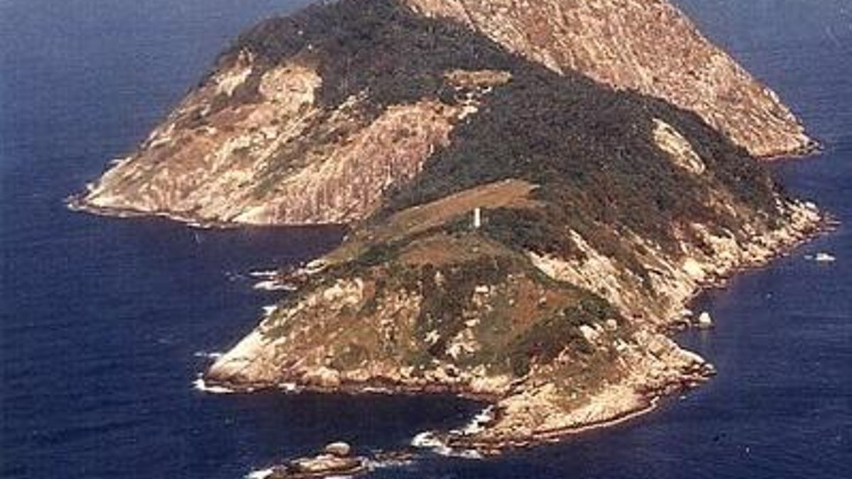 En sus 43 hectáreas de vegetación espesa, Queimada Grande alberga hasta una serpiente por metro cuadrado