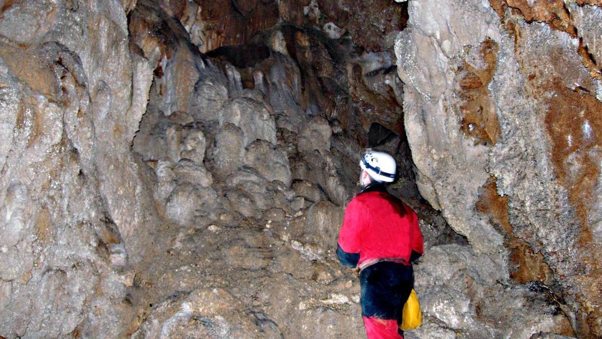 Descubriendo la Cueva de Cerrauco