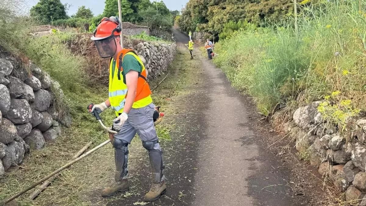 El paro baja en La Palma un 1,3% en febrero y afecta a 6.098 personas