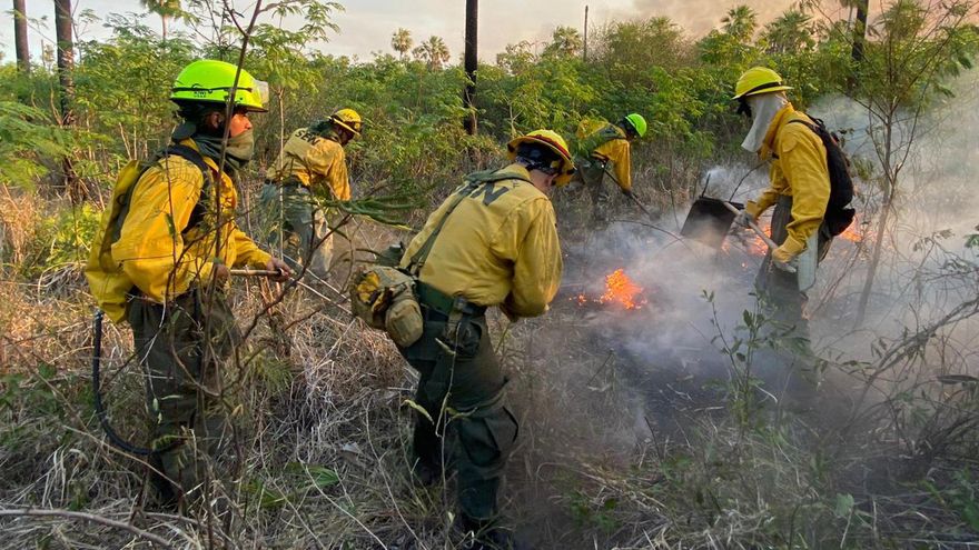 Incendio en frontera entre Paraguay y Bolivia arrasa con 16.000 hectáreas de vegetación