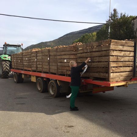 Mercedes López etiqueta sus patatas antes de transportarlas.