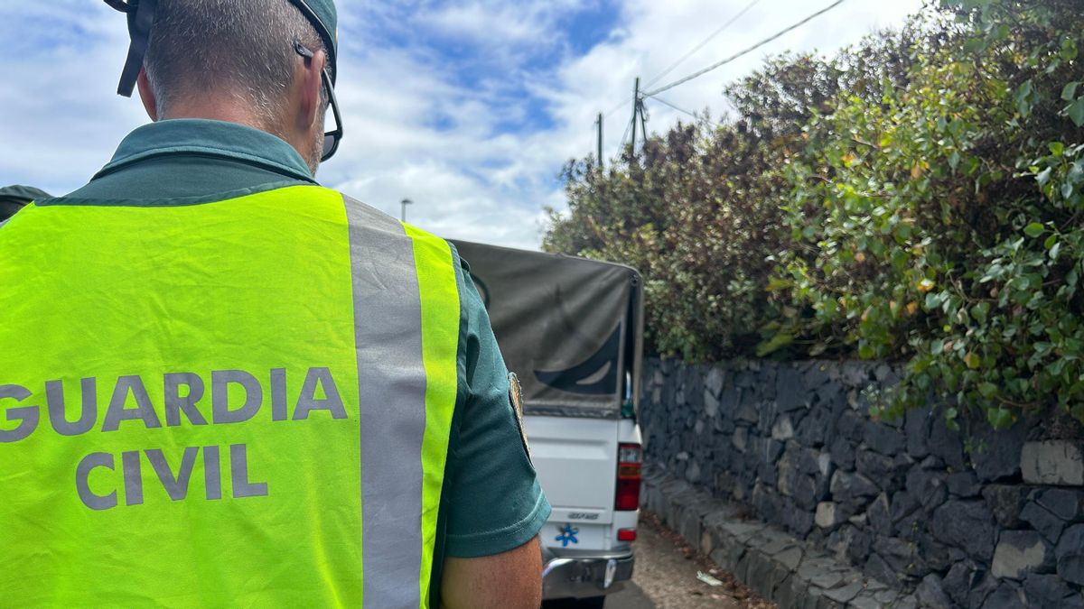 La Guardia Civil colabora desde el pasado  lunes con el Gobierno de Canarias en las labores para evitar la propagación de la filoxera de la vid por medio de controles en carretera.