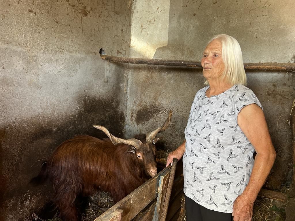 María Lina Hernández Hernández .