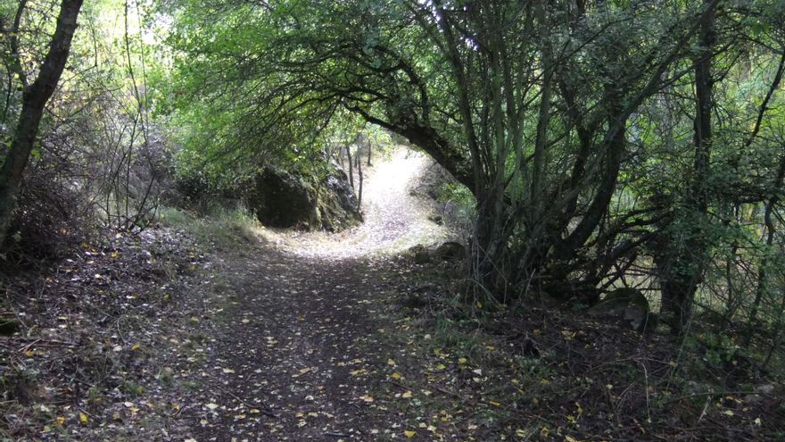 Jornada gratuita de educación ambiental en el Parque Natural del Río Dulce para este domingo