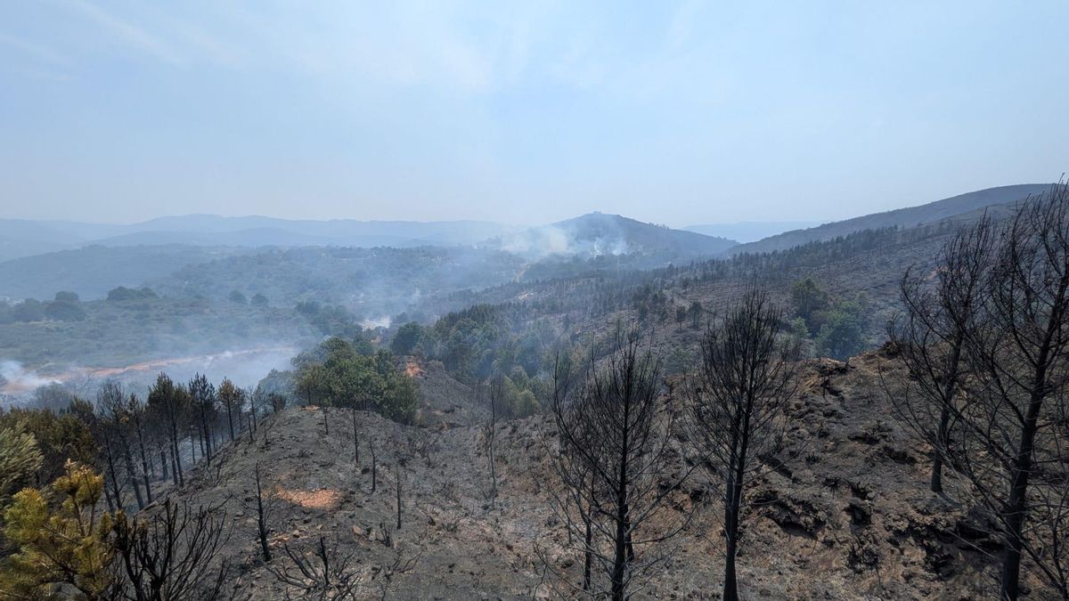 Monte arrasado por el incendio de Veguellina.