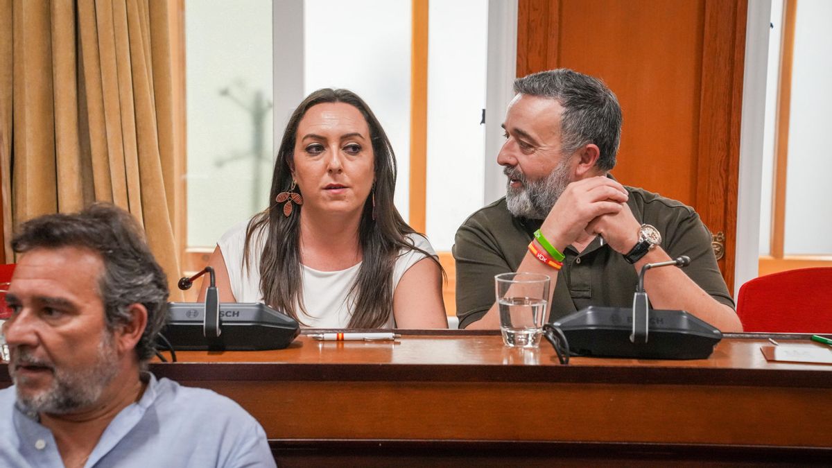 Concejales de Vox
