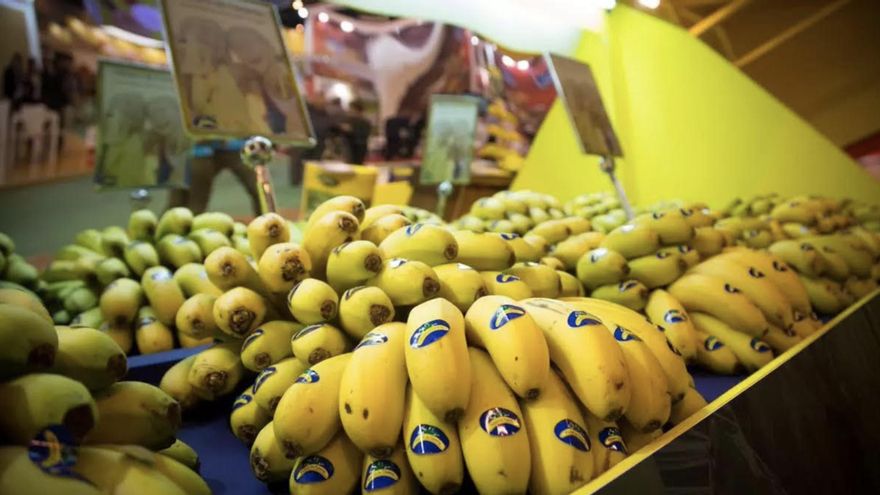 El plátano de Canarias se pone por las nubes