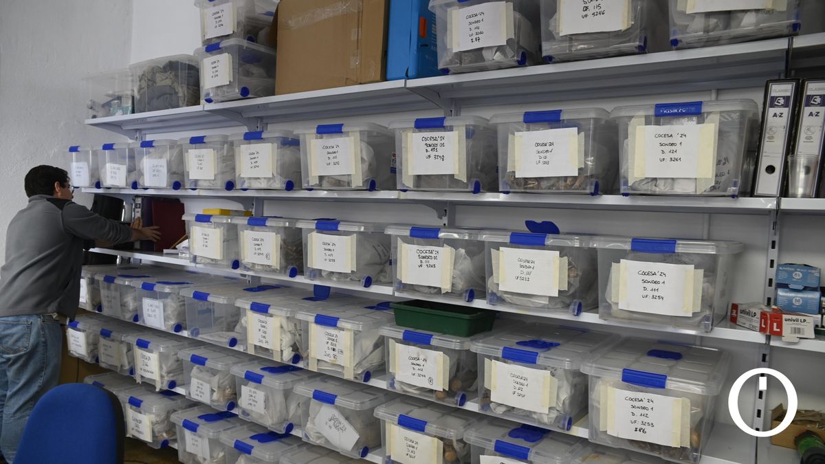 Cajas con restos de las personas exhumadas en el cementerio de la Salud