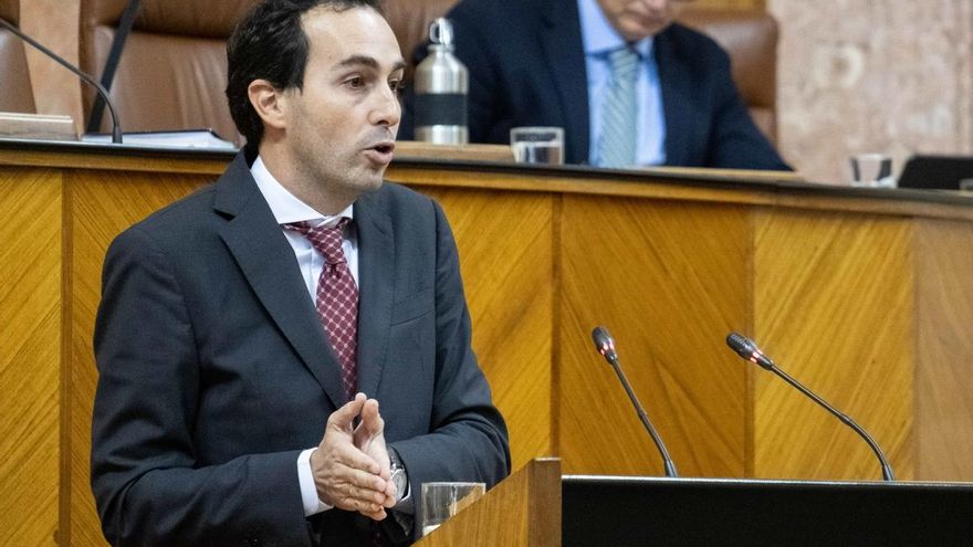 PP-A critica la "huida" del PSOE-A del grupo del Parlamento para un pacto educativo "sin ninguna razón objetiva"
