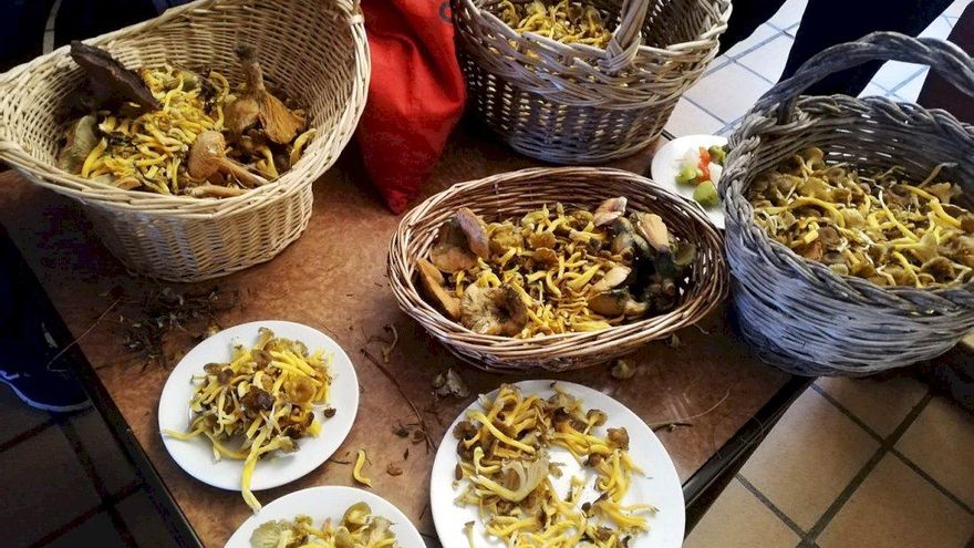 Tres empresas conquenses suman fuerzas con un proyecto turístico en torno a la trufa