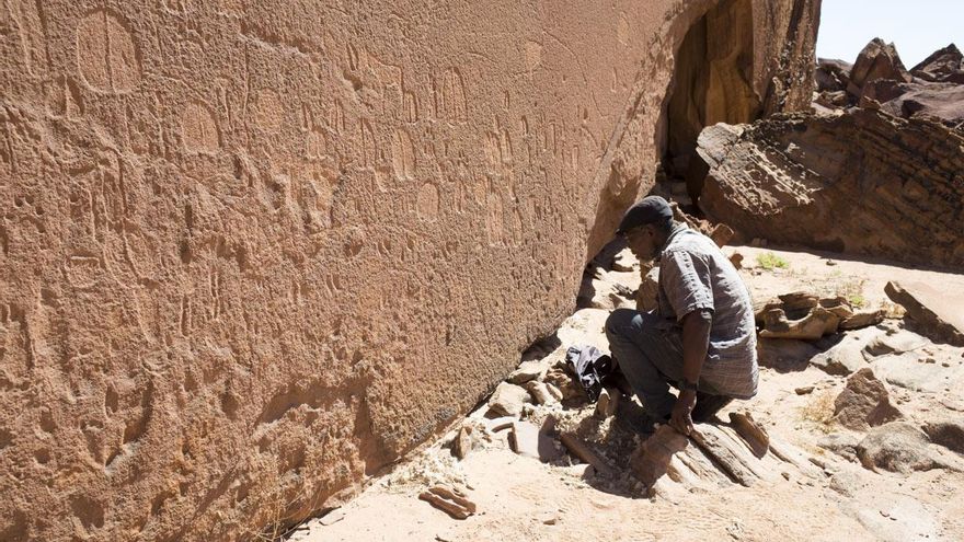 Un investigador observa las huellas del panel analizado en el estudio