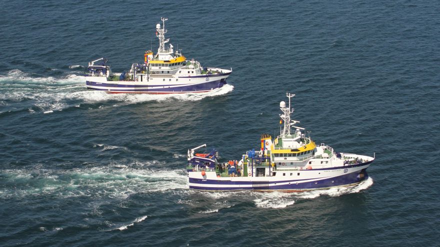 Panel 4 de la muestra '12 meses, 12 peces'.