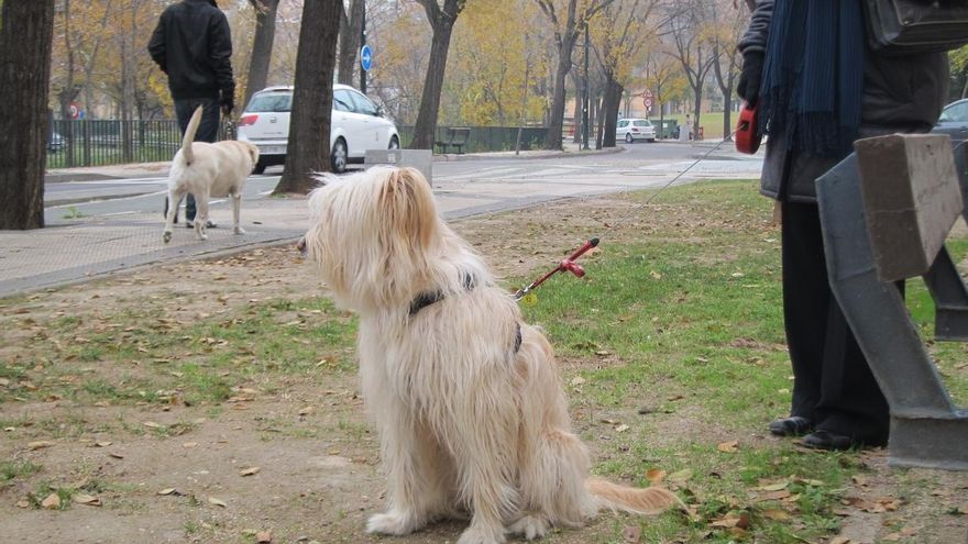 Ayuntamiento de Barakaldo impulsa iniciativas para fomentar el civismo entre los propietarios de perros