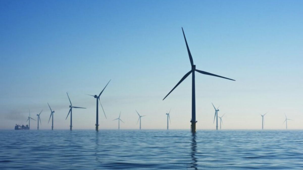 212 millones en ayudas para adaptar puertos estatales al despliegue de la eólica y otras renovables marinas