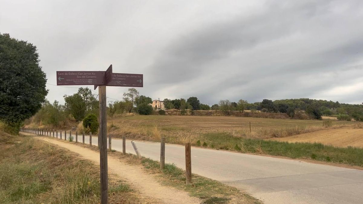 Campos de cultivos del Espacio Natural Protegido de Gallecs, cerca de Mollet del Vallès