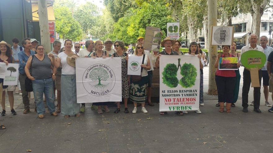 La Mesa del Árbol de Sevilla se planta en el Ayuntamiento