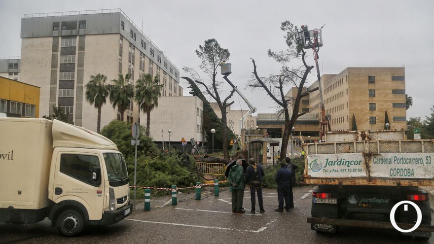 Efectos del tornado en el Hospital Reina Sofía de Córdoba