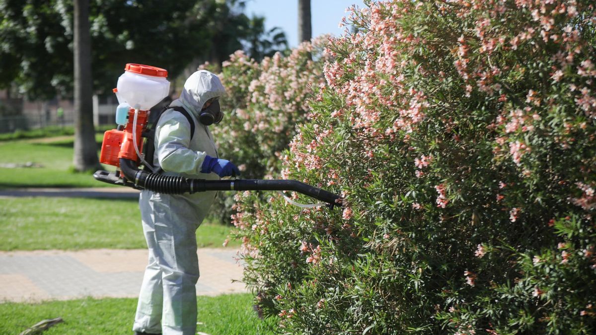 El virus del Nilo sigue al alza en Andalucía y ya son 26 los casos detectados, todos en la provincia de Sevilla