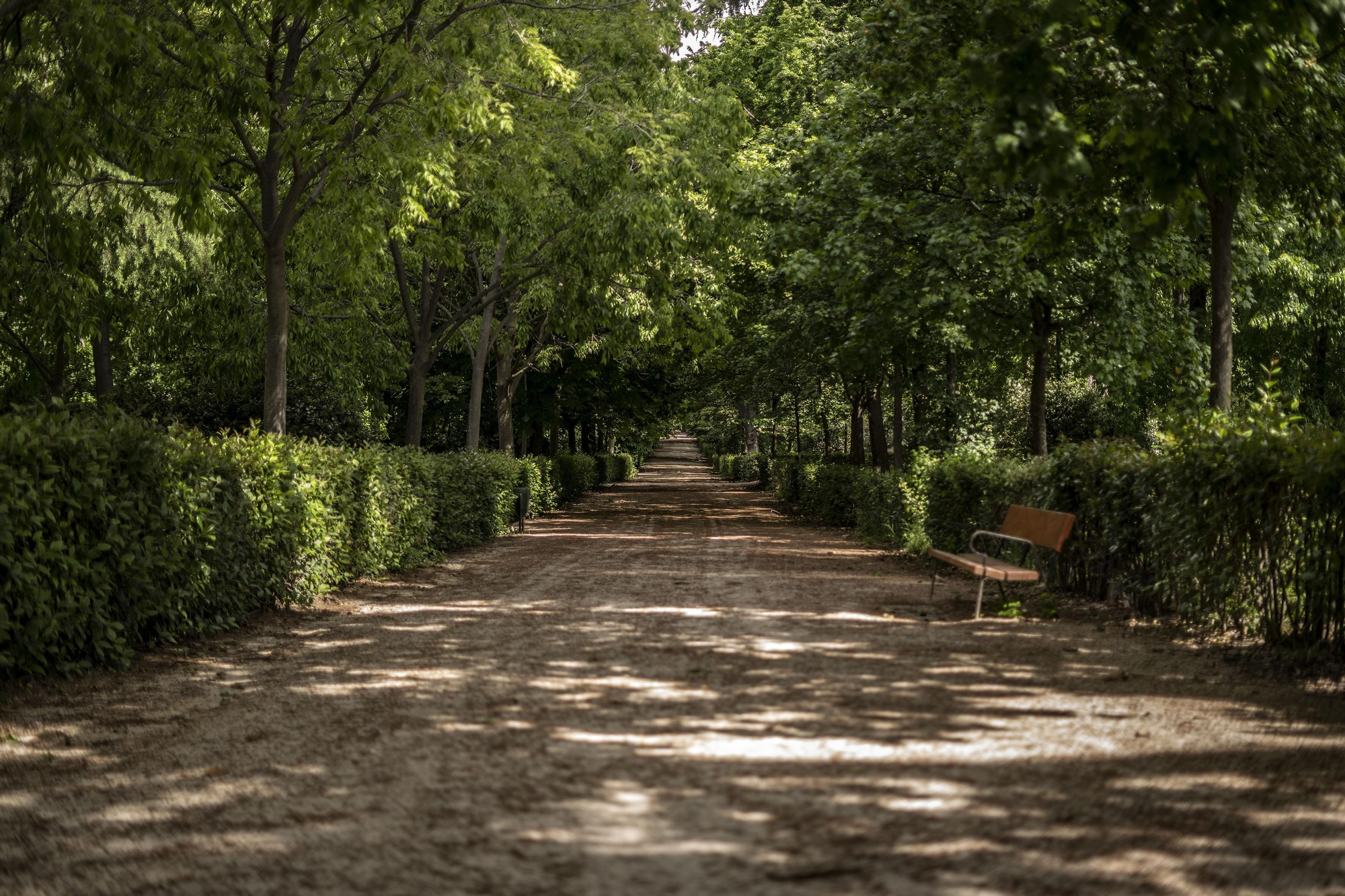 Bancos y caminos de los jardines de El Retiro (Madrid) sin gente