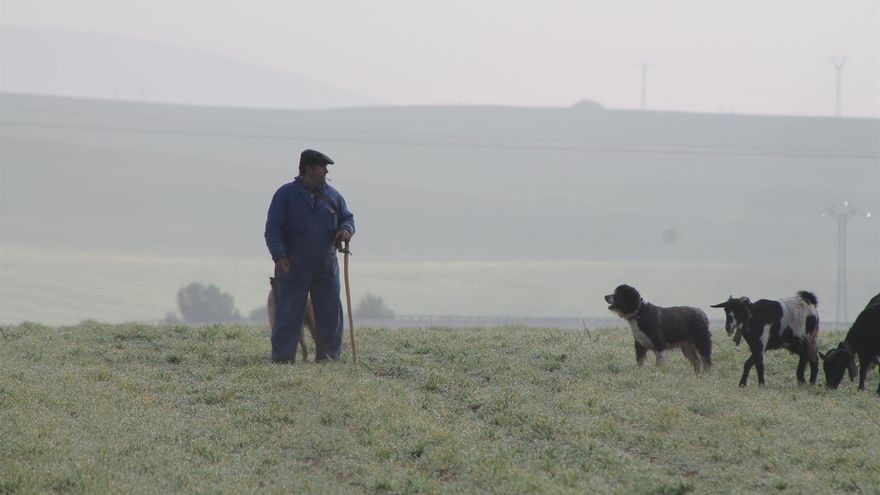 Pastor. EUROPA PRESS