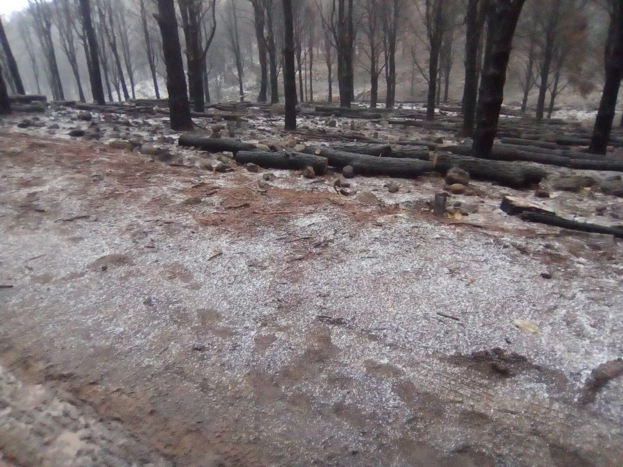 Nieve en la cumbre de Gran Canaria