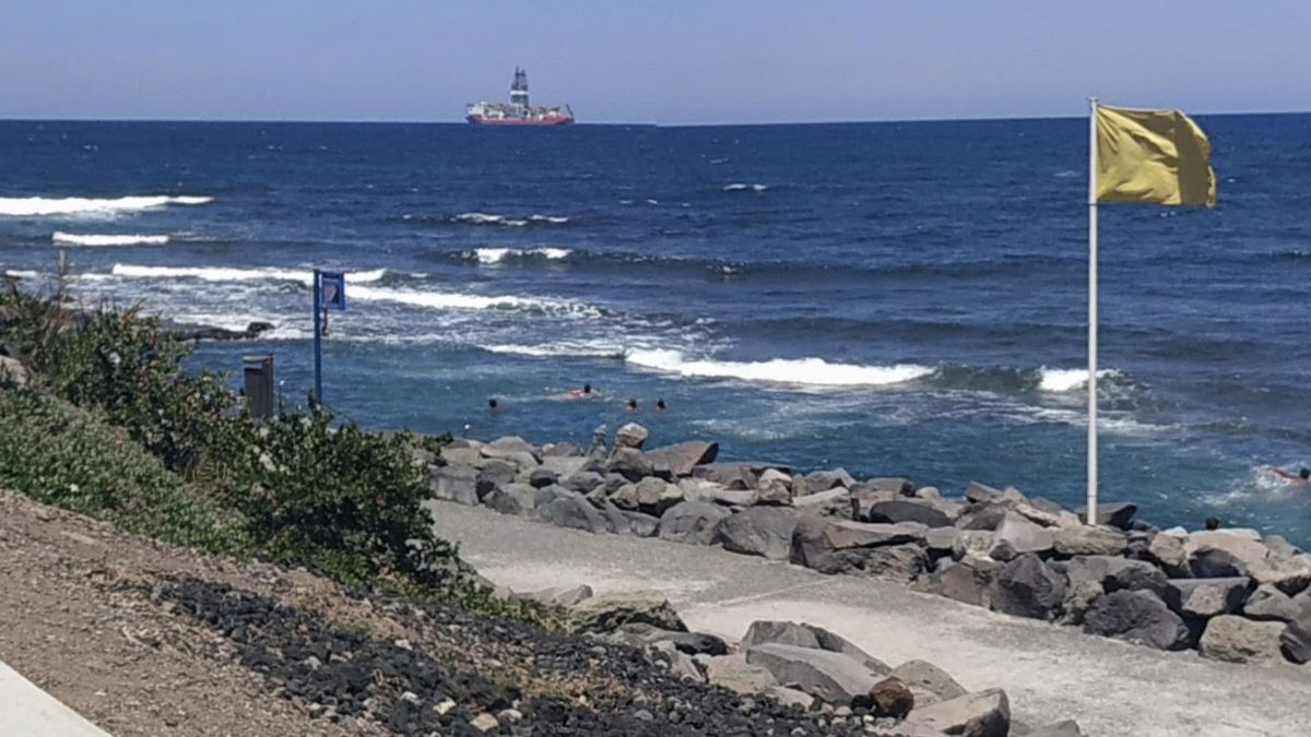 Liberado un ejemplar de chucho negro que quedó atrapado en una de las piscinas naturales de La Laja