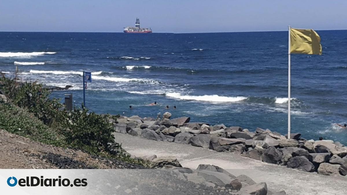 Liberado un ejemplar de chucho negro que quedó atrapado en una de las piscinas naturales de La Laja