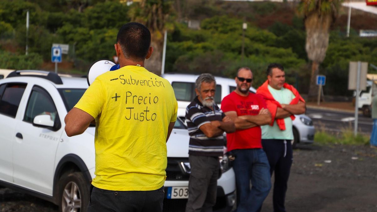 Protesta por el bajo precio del plátano. LUIS G MORERA/EFE