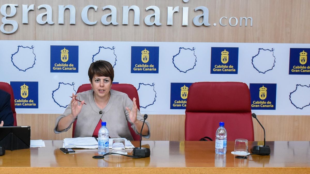 La consejera de Desarrollo Económico de Gran Canaria también abandona Nueva Canarias